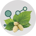 ico5